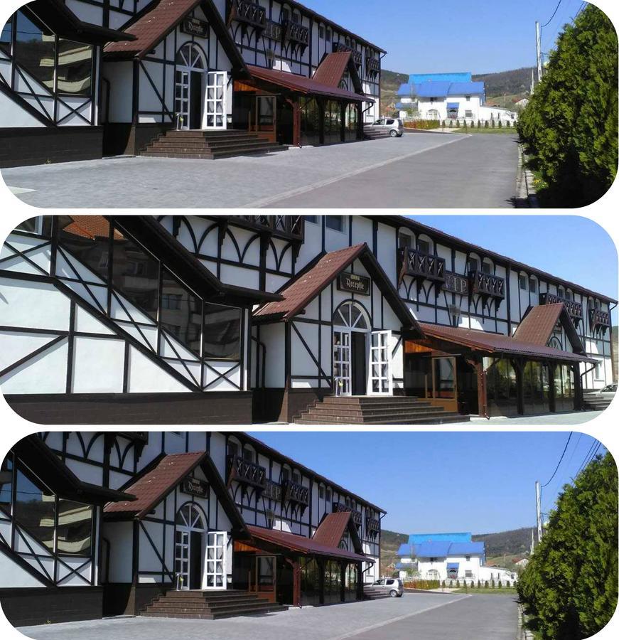 Vip Motel Restaurant Хацег Экстерьер фото